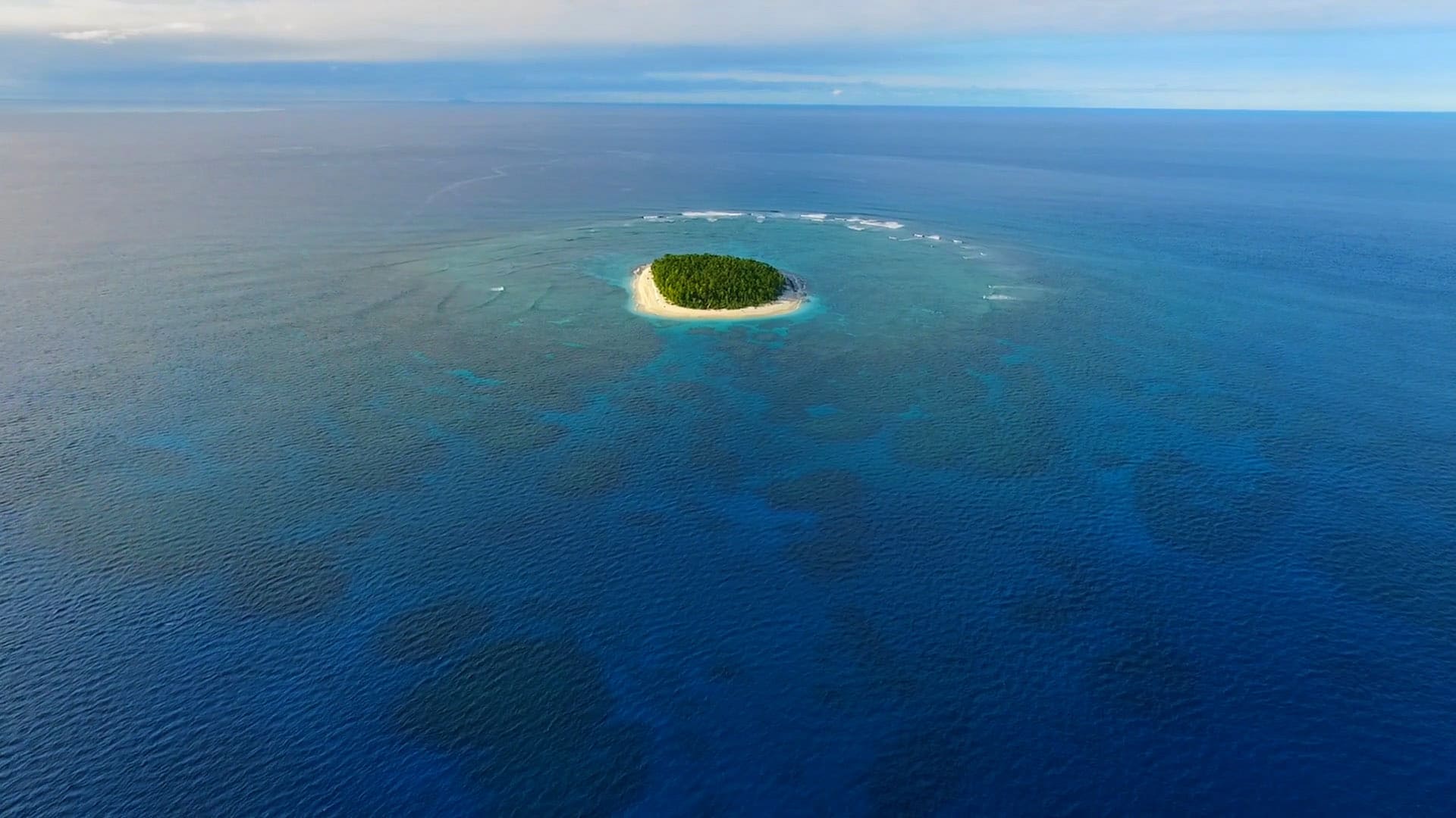 A remote desert island where our survivors enjoy alone